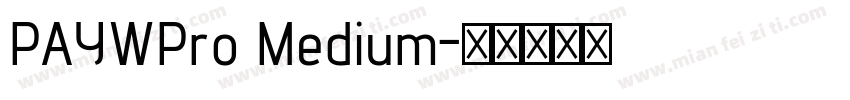PAYWPro Medium字体转换